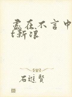 尽在不言中txt新浪
