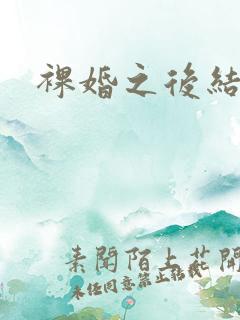 裸婚之后结局