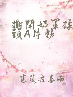 撕开奶罩揉吮奶头A片动