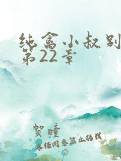 纯禽小叔别太猛第22章