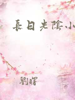 长日光阴小说