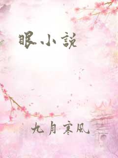 眼小说