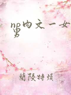 np肉文一女多男