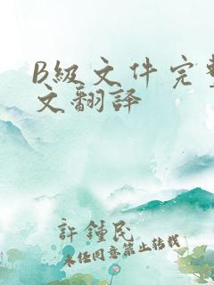B级文件完整中文翻译