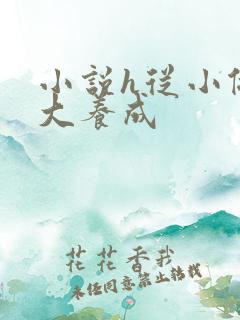 小说h从小做到大养成