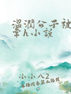 温润公子被脔日常h小说