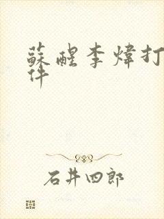 苏醒李炜打架事件