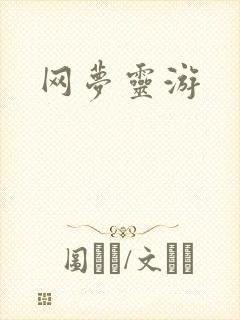网梦灵游