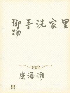 御手洗家里的事物