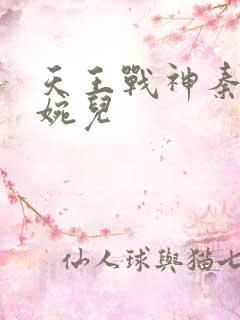 天王战神秦武林婉儿