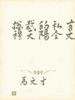 总裁的私有宝贝穆天阳全文阅读