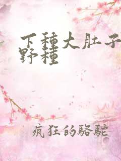 下种大肚子怀孕野种