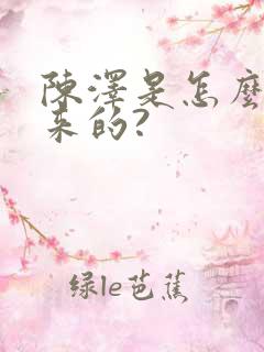 陈泽是怎么火起来的?