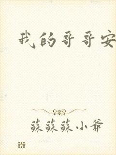 我的哥哥安小天