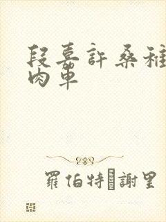 段嘉许桑稚浴室肉车