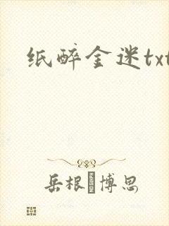 纸醉金迷txt