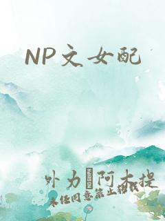 NP文女配