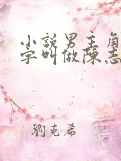 小说男主角的名字叫做陈志远