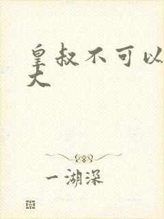 皇叔不可以 太大