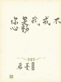 你是我戒不掉的心动