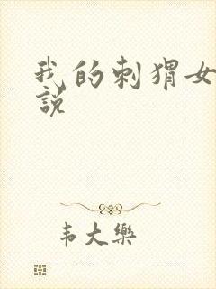 我的刺猬女孩小说