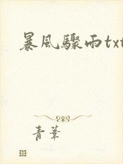 暴风骤雨txt