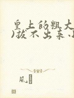 皇上的粗大(h)拔不出来小说