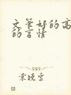 文笔好的高质量的言情