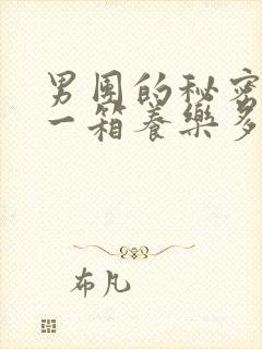 男团的秘密BY一箱养乐多小说