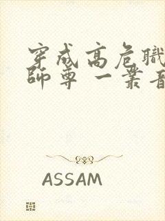 穿成高危职业之师尊 一丛音