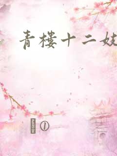 青楼十二妓