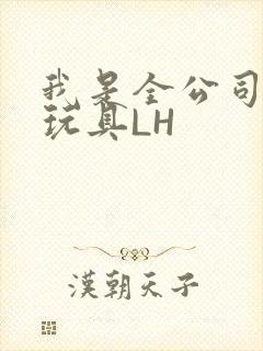我是全公司发泄玩具LH