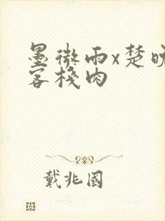 墨微雨x楚晚宁客栈肉