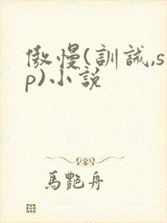 傲慢(训诫,sp)小说