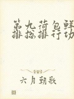 第九荷包鲜辣肉排总排行功能介绍