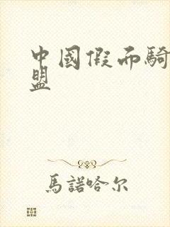 中国假面骑士联盟