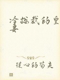 冷总裁的皇后暖妻