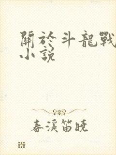 关于斗龙战士的小说