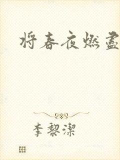 将春夜燃尽