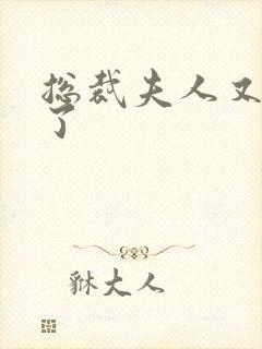 总裁夫人又征婚了