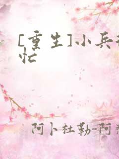 [重生]小兵很忙