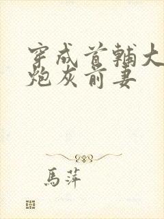 穿成首辅大人的炮灰前妻