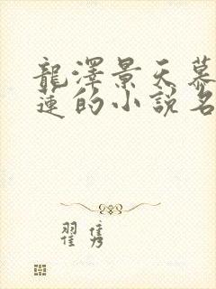 龙泽景天慕容青莲的小说名字