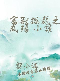 禽兽总裁之虐爱成殇 小说