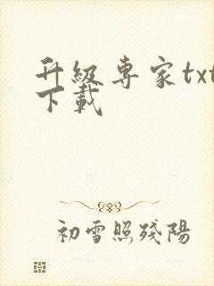 升级专家txt下载