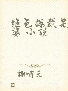 绝色总裁是我老婆 小说