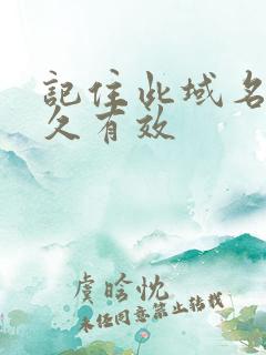 记住此域名记永久有效