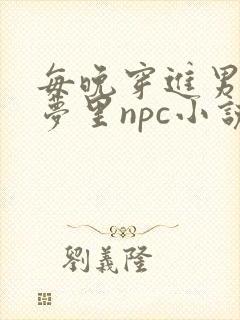 每晚穿进男神的梦里npc小说