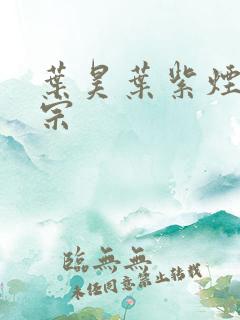 叶昊叶紫烟老祖宗