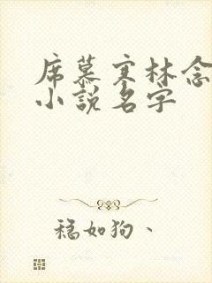 席慕寒林念儿的小说名字